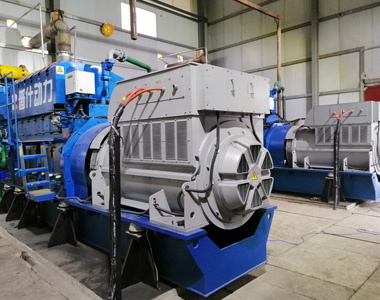 丰都甘泰沼气发电项目配UED官网2台850KW/10.5KV6极高压发电机