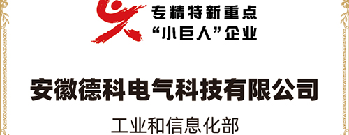 「小巨人 大分量」| UED官网电气荣获“国家专精特新重点小巨人企业”称号！